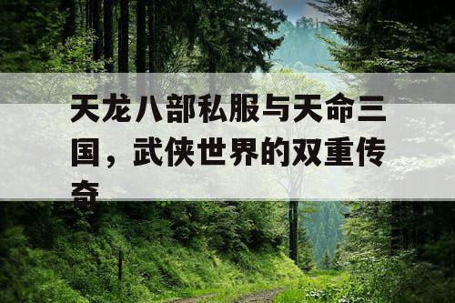 天龙八部私服与天命三国,武侠世界的双重传奇 天龙八部私服与天命三国,武侠世界的双重传奇