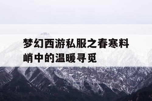 梦幻西游私服之春寒料峭中的温暖寻觅