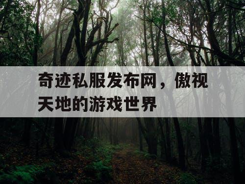 奇迹私服发布网，傲视天地的游戏世界