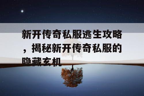新开传奇私服逃生攻略，揭秘新开传奇私服的隐藏玄机