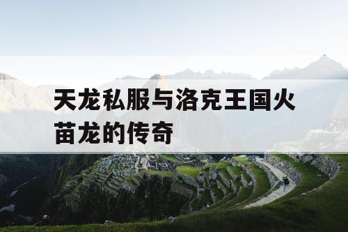 天龙私服与洛克王国火苗龙的传奇