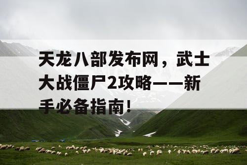 天龙八部发布网，武士大战僵尸2攻略——新手必备指南！