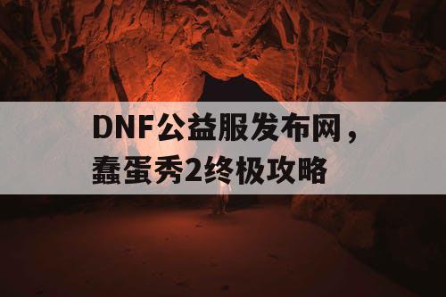 DNF公益服发布网，蠢蛋秀2终极攻略