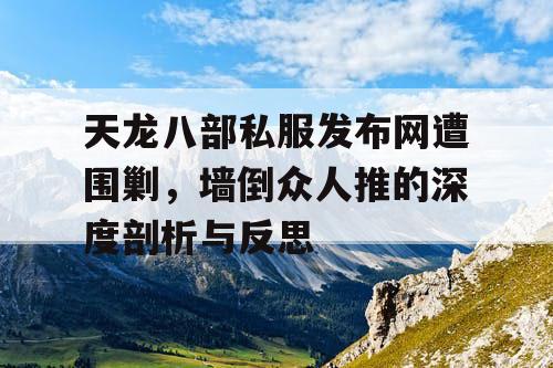 天龙八部私服发布网遭围剿,墙倒众人推的深度剖析与反思 天龙八部私服发布网遭围剿,墙倒众人推的深度剖析与反思