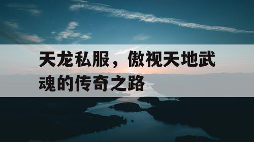天龙私服，傲视天地武魂的传奇之路