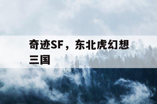 奇迹SF，东北虎幻想三国