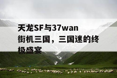 天龙SF与37wan街机三国，三国迷的终极盛宴