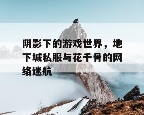 阴影下的游戏世界,地下城私服与花千骨的网络迷航 阴影下的游戏世界,地下城私服与花千骨的网络迷航