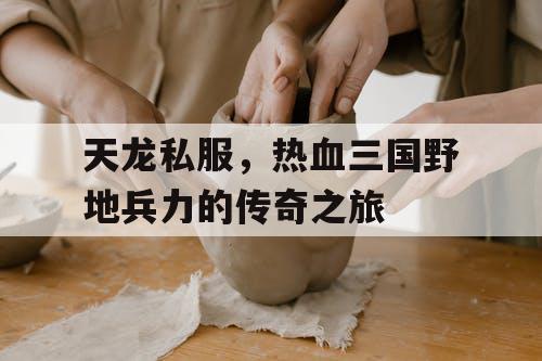 天龙私服,热血三国野地兵力的传奇之旅 天龙私服,热血三国野地兵力的传奇之旅