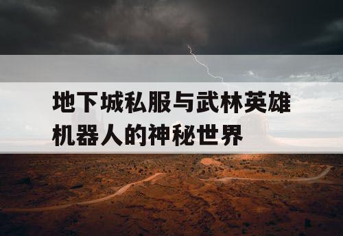 地下城私服与武林英雄机器人的神秘世界 地下城私服与武林英雄机器人的神秘世界
