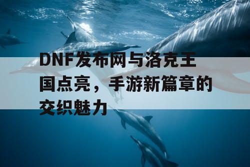 DNF发布网与洛克王国点亮，手游新篇章的交织魅力