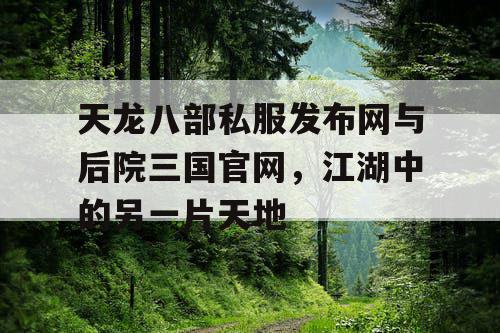 天龙八部私服发布网与后院三国官网，江湖中的另一片天地
