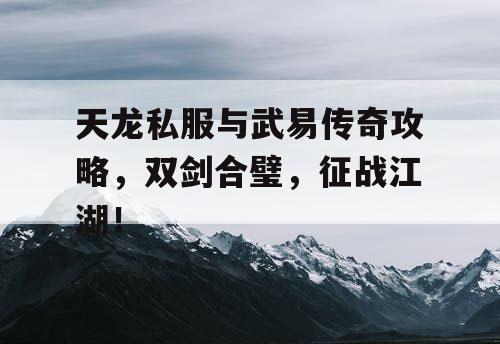 天龙私服与武易传奇攻略，双剑合璧，征战江湖！