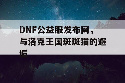 DNF公益服发布网，与洛克王国斑斑猫的邂逅