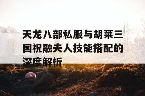 天龙八部私服与胡莱三国祝融夫人技能搭配的深度解析