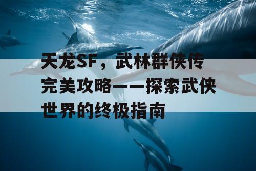 天龙SF，武林群侠传完美攻略——探索武侠世界的终极指南