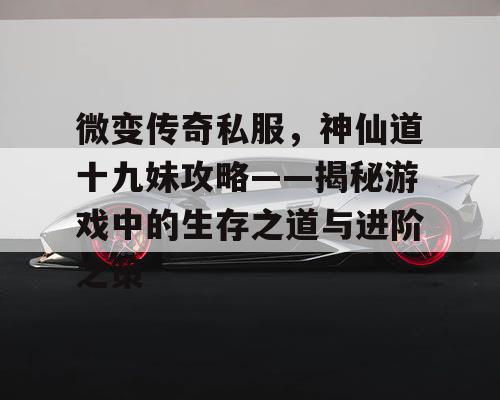 微变传奇私服，神仙道十九妹攻略——揭秘游戏中的生存之道与进阶之策
