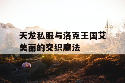 天龙私服与洛克王国艾美丽的交织魔法