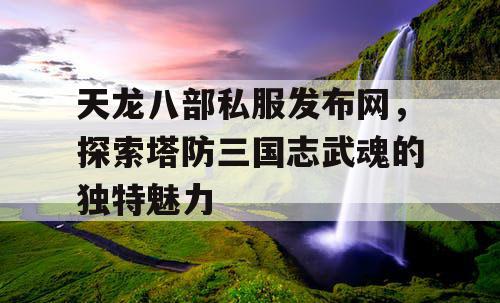 天龙八部私服发布网，探索塔防三国志武魂的独特魅力
