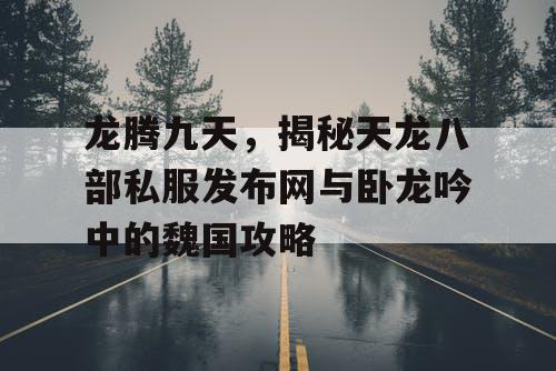 龙腾九天，揭秘天龙八部私服发布网与卧龙吟中的魏国攻略