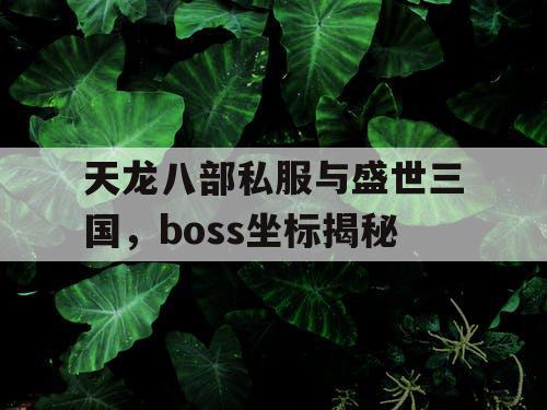 天龙八部私服与盛世三国，boss坐标揭秘