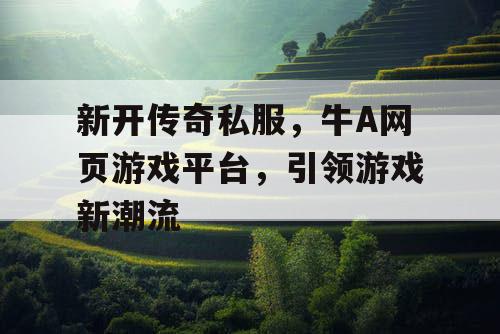 新开传奇私服，牛A网页游戏平台，引领游戏新潮流