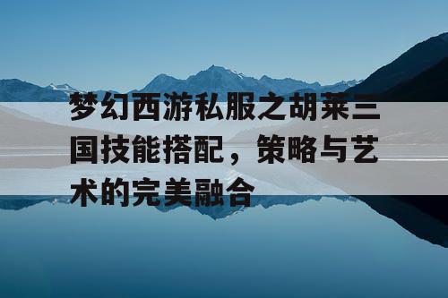 梦幻西游私服之胡莱三国技能搭配，策略与艺术的完美融合