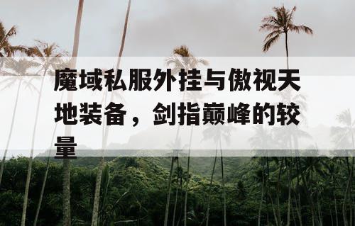 魔域私服外挂与傲视天地装备，剑指巅峰的较量