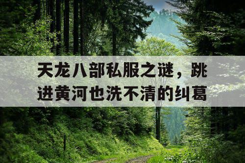天龙八部私服之谜,跳进黄河也洗不清的纠葛 天龙八部私服之谜,跳进黄河也洗不清的纠葛