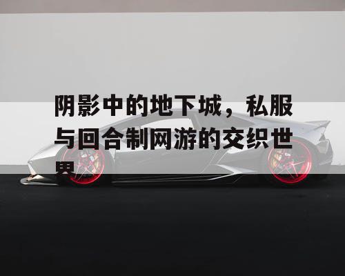 阴影中的地下城，私服与回合制网游的交织世界