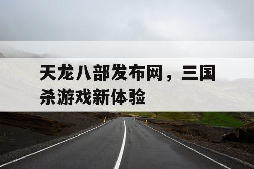 天龙八部发布网，三国杀游戏新体验