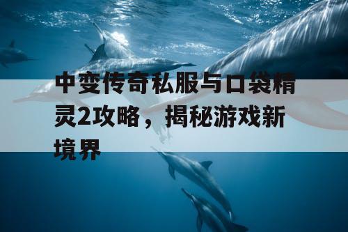 中变传奇私服与口袋精灵2攻略，揭秘游戏新境界