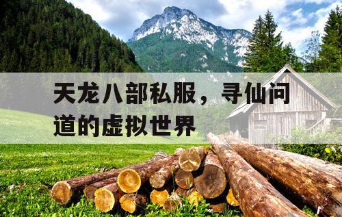 天龙八部私服，寻仙问道的虚拟世界