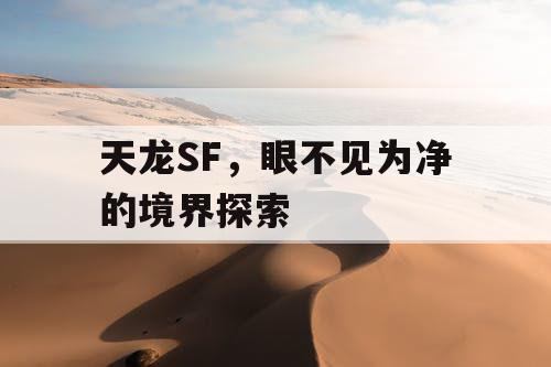 天龙SF，眼不见为净的境界探索