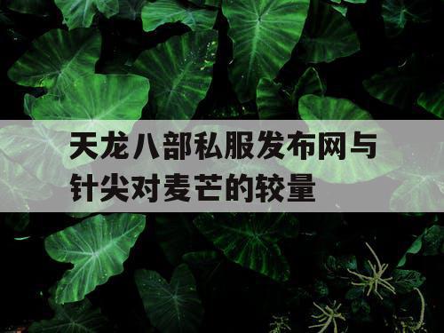 天龙八部私服发布网与针尖对麦芒的较量