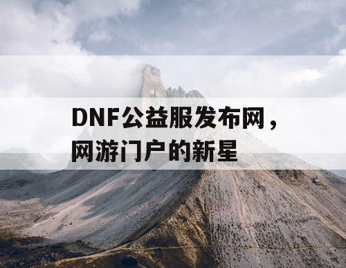 DNF公益服发布网，网游门户的新星