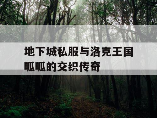 地下城私服与洛克王国呱呱的交织传奇