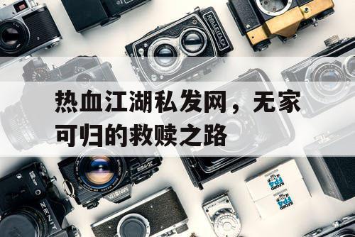 热血江湖私发网，无家可归的救赎之路