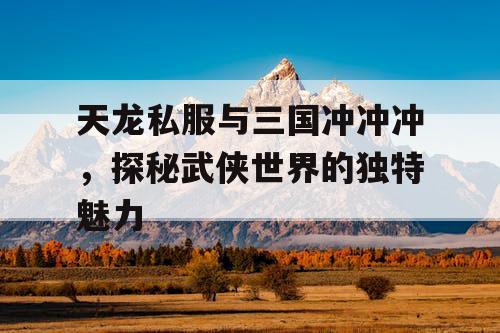 天龙私服与三国冲冲冲，探秘武侠世界的独特魅力