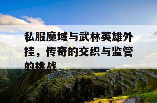 私服魔域与武林英雄外挂，传奇的交织与监管的挑战