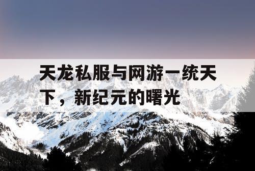 天龙私服与网游一统天下，新纪元的曙光