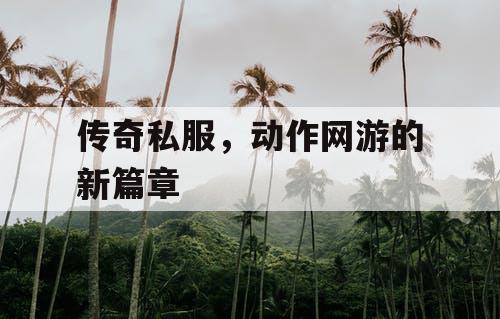 传奇私服，动作网游的新篇章