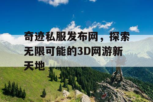奇迹私服发布网，探索无限可能的3D网游新天地