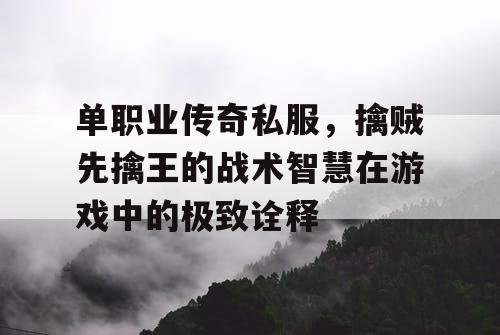 单职业传奇私服，擒贼先擒王的战术智慧在游戏中的极致诠释