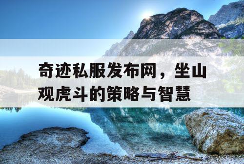 奇迹私服发布网，坐山观虎斗的策略与智慧