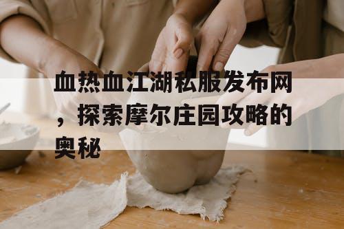 血热血江湖私服发布网，探索摩尔庄园攻略的奥秘