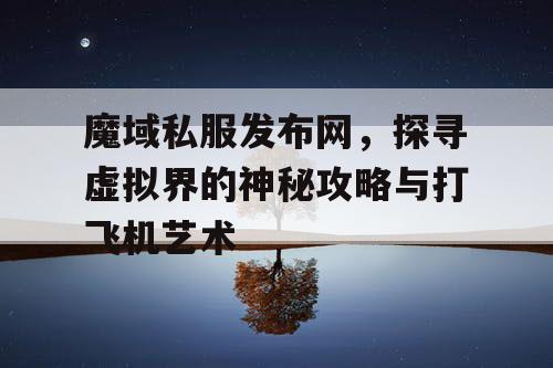 魔域私服发布网，探寻虚拟界的神秘攻略与打飞机艺术