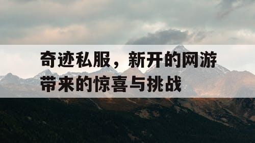 奇迹私服,新开的网游带来的惊喜与挑战 奇迹私服,新开的网游带来的惊喜与挑战