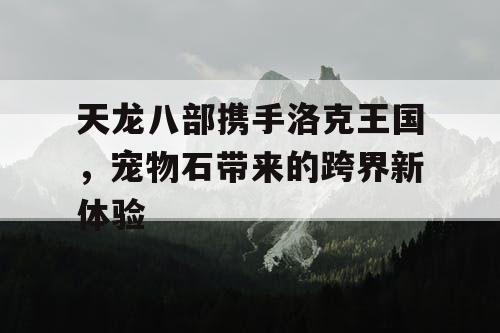 天龙八部携手洛克王国,宠物石带来的跨界新体验 天龙八部携手洛克王国,宠物石带来的跨界新体验