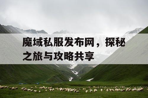 魔域私服发布网，探秘之旅与攻略共享